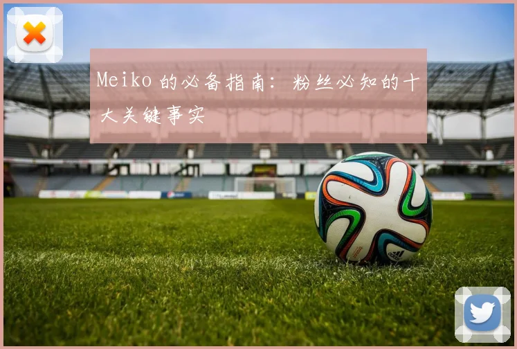 Meiko 的必备指南:粉丝必知的十大关键事实